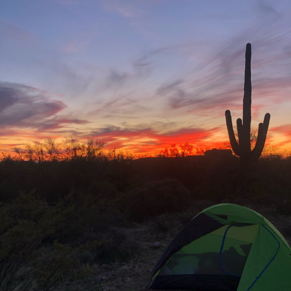 Meet your Posher, Kevin